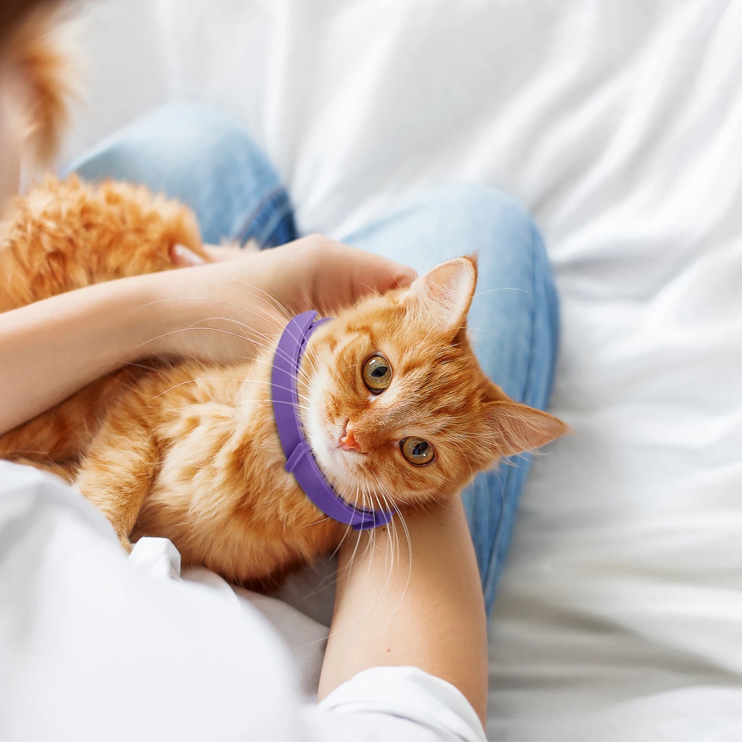 4Pcs Cat Calming Collar Cat Pheromone Collar Adjustable Calming Pheromone Collar Anti-Anxiety Helps with Aggression Pet Supplies