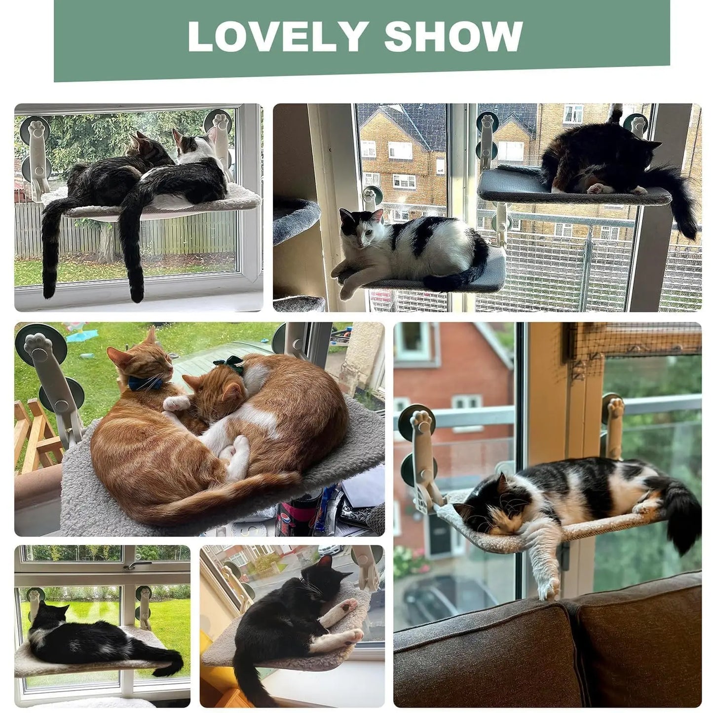 Cat Window Hammock Bed for Indoor Cats Foldable Cat Window Perch Bed Upgrade Strong Suction Cups Sturdy Hold up to 18kg