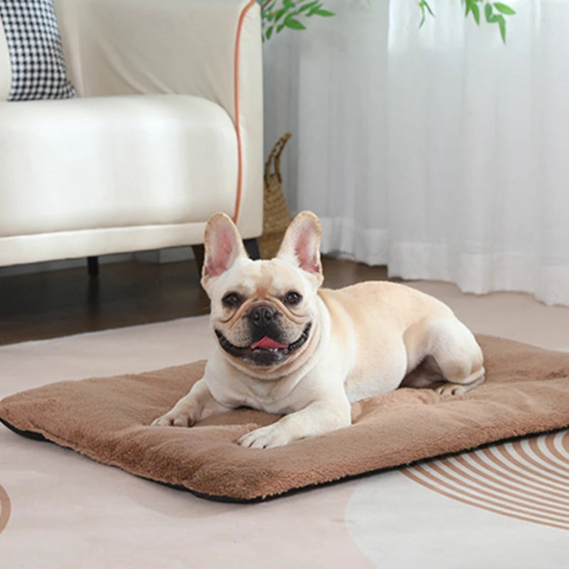 Dog Bed Short Plush Pet Heated Sleeping Mat Cats And Dogs Cute Pet Mat Blanket Thickened Sleeping Mat Small Large Dog Pet Suppli
