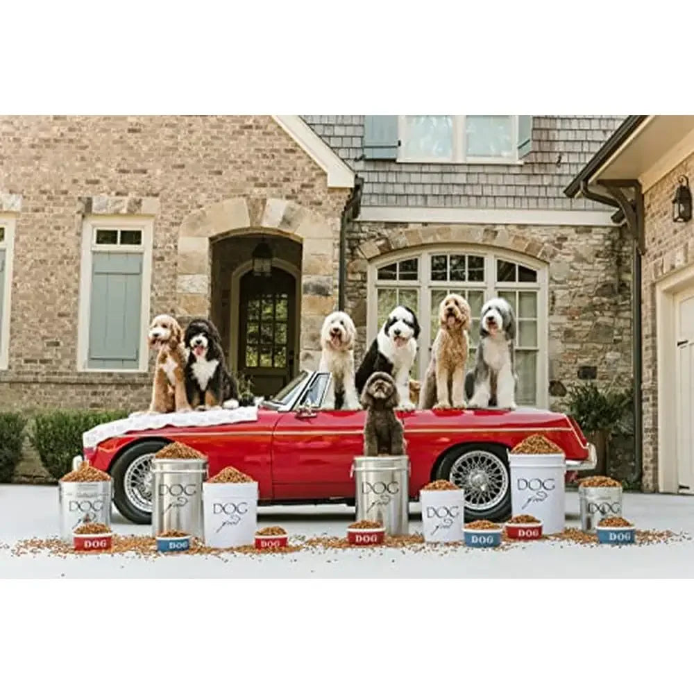 Large White Dog Food Canister 40 lbs Storage Airtight Lid Eco-Friendly Alloy Steel Lead-Free Clean Neat & Healthy Storage