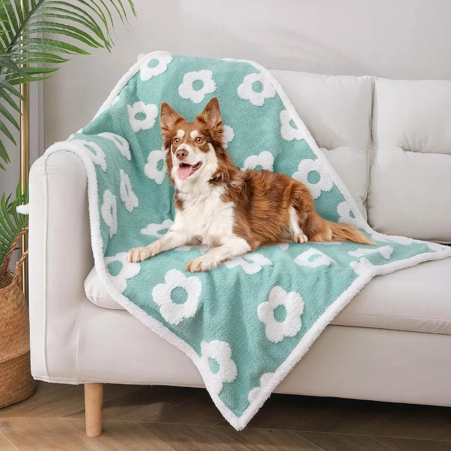 Waterproof Dog Blankets for Small Dogs Washable Reversable Dog Blanket for Furniture Sofa Couch Crate Car Soft Sherpa Dog Throw