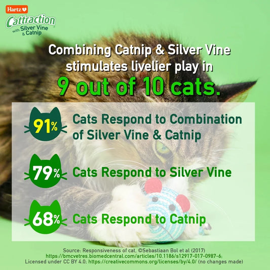 Cat Toy Variety Pack 20 Count with Silver Vine Catnip Natural Cat Attractants Multi-Cat Households Interactive