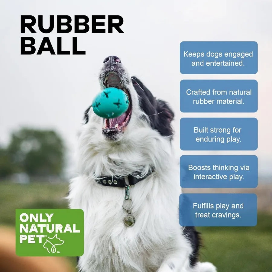 Interactive Rubber Boredom Buster Treat Stuffer Dog Toy with Fillable Feeder Dispenser for Medium and Large Puppies Durable Che