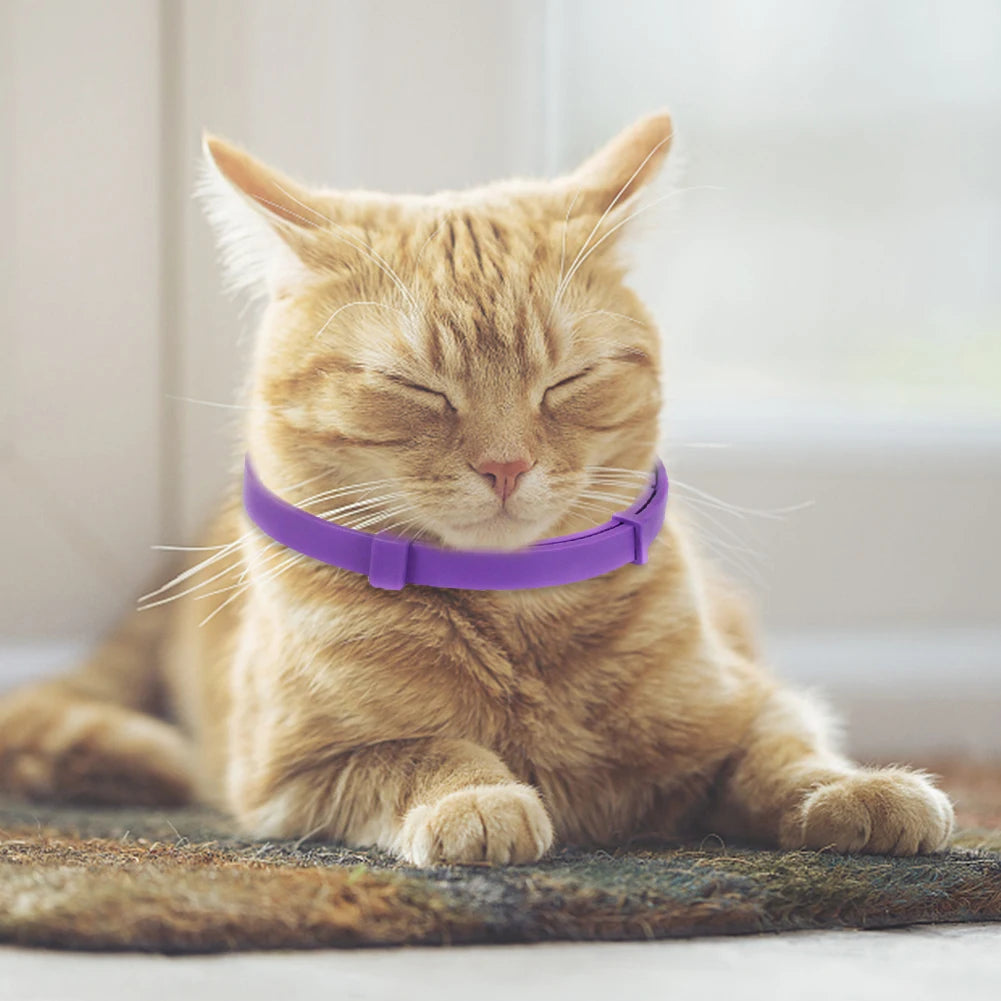 TPR Calming Collar Necklace Adjustable 38cm Cat Soothing Collar Waterproof Relieve Anxiety Remove Restlessness Pet Supplies