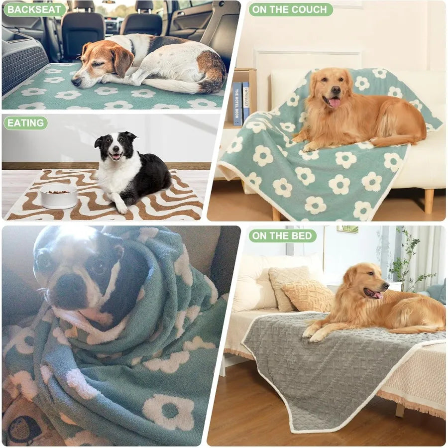 Waterproof Dog Blankets for Small Dogs Washable Reversable Dog Blanket for Furniture Sofa Couch Crate Car Soft Sherpa Dog Throw