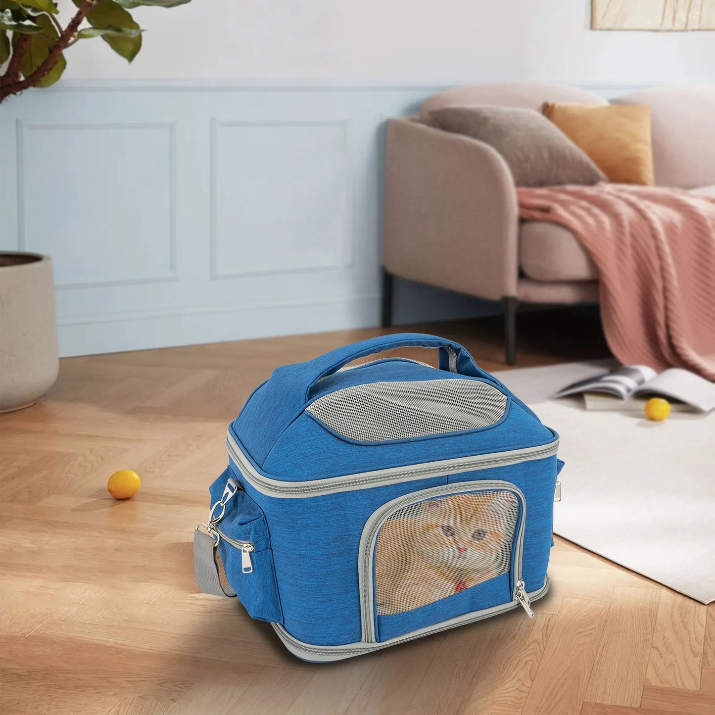Blue Collapsible Pet Carrier | 600D Oxford Waterproof Travel Bag for Cats, 7kg Capacity, Outdoor Hiking