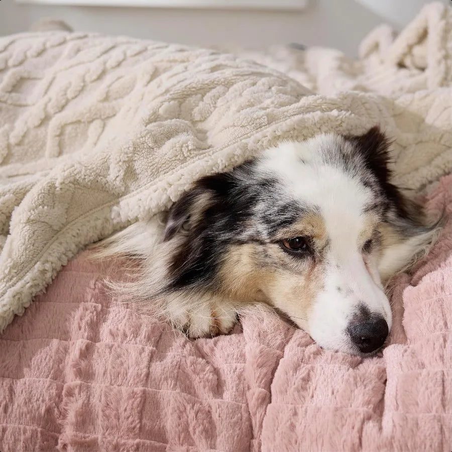 Waterproof Dog Blankets for Large Dogs Pet Blanket for Couch Protector Washable Premium Jacquard Coral Fleece Cat Throw Blanket