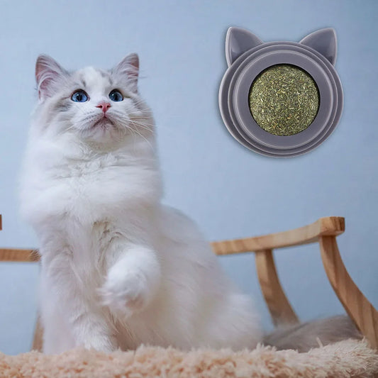 Rotatable Catnip Ball Natural Safe Catnip Edible Lick Balls with Transparent Cover Catnip Balls Toy for Cats Pet Treats Supplies