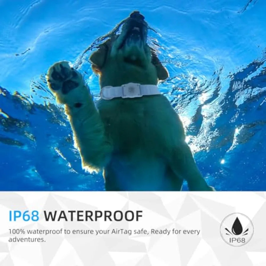 tag Dog Collar QR Code IP68 Waterproof Integrated  Tag Dog Collar Holder ID Tag Free Pet Online Profile Durable tural Cotton He