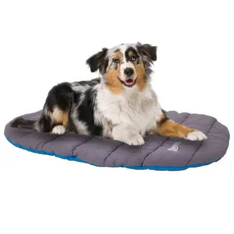 Pet Water Resistant Travel Pillow Dog Bed, Large, Gray and Blue