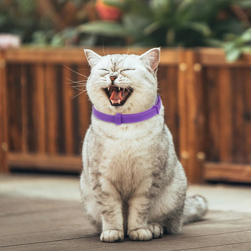 TPR Calming Collar Necklace Adjustable 38cm Cat Soothing Collar Waterproof Relieve Anxiety Remove Restlessness Pet Supplies