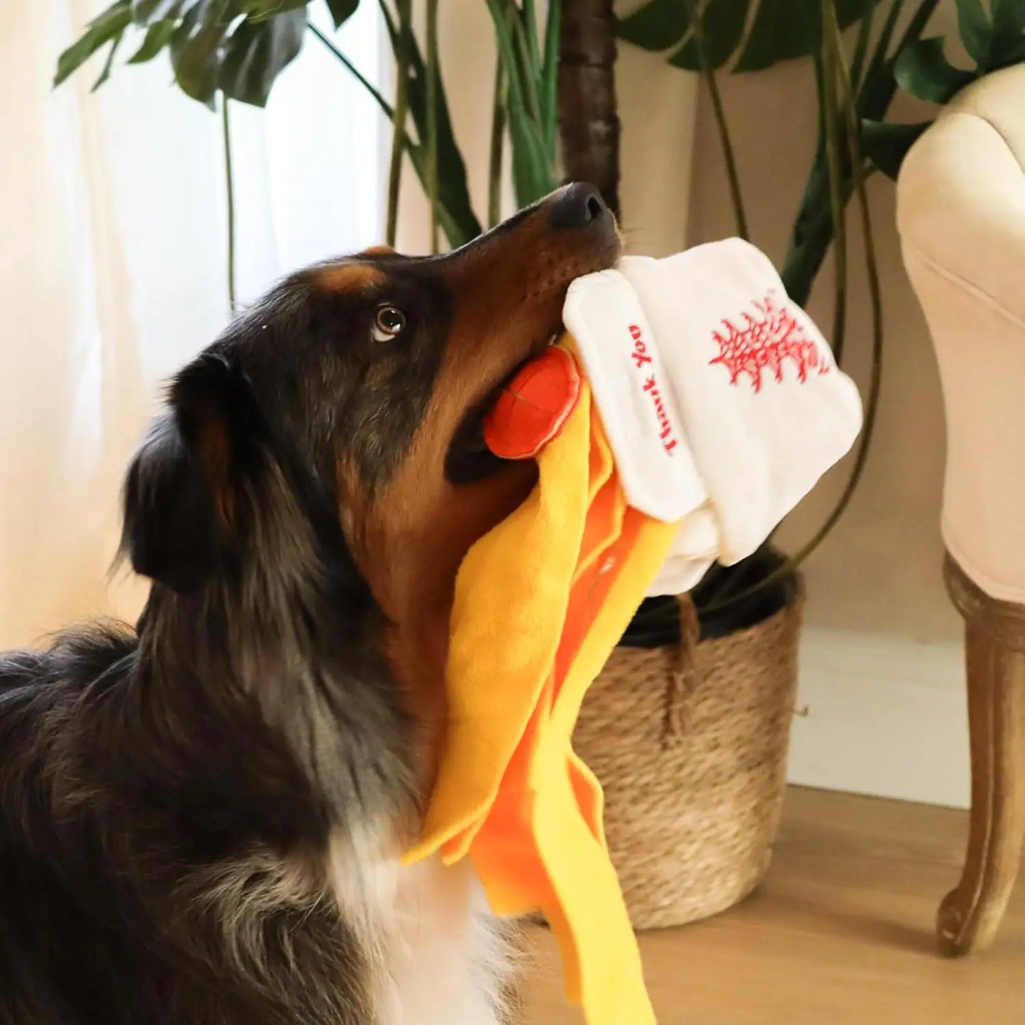 Take-Out Box Snuffle Dog Toy - Interactive Plush Treat Puzzle for Small Medium Dogs, Slow Feeder with Squeaky