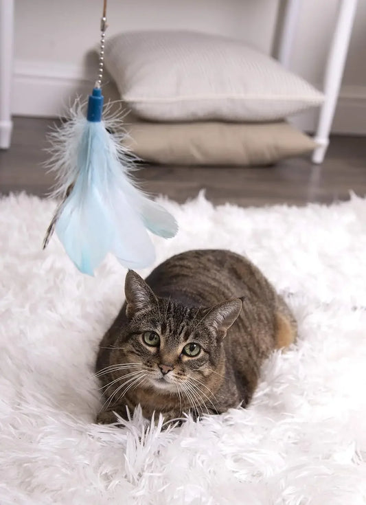 Feather Wand Cat Toy, Extendable Up to 24" - Blue, One Size