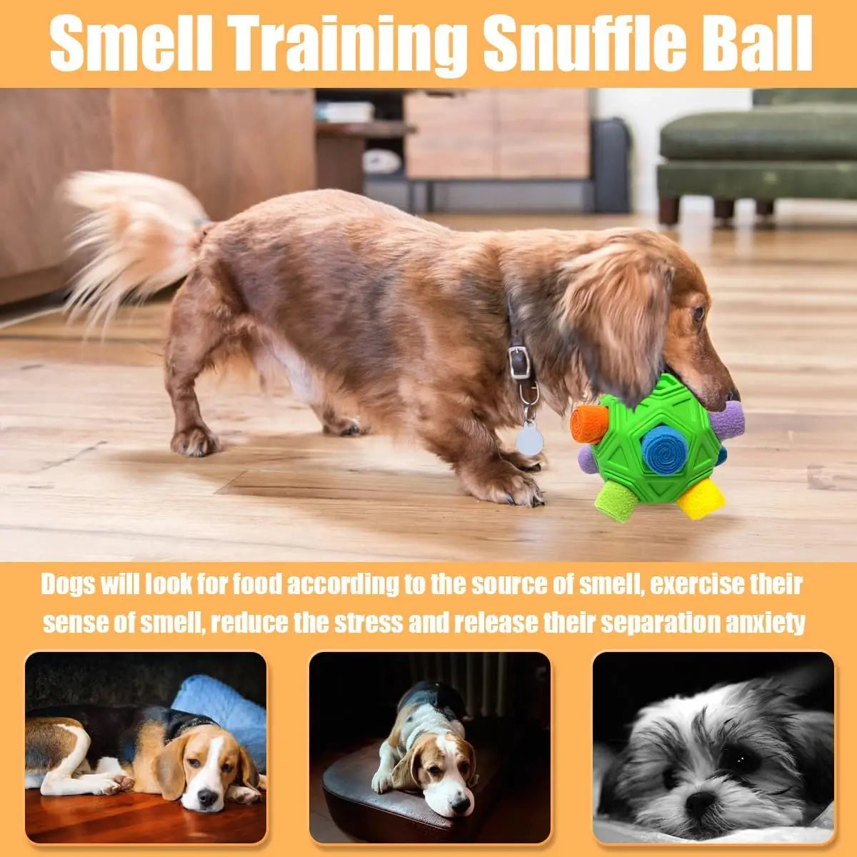 Dog Snuffle Ball, Interactive Puzzle Toy with Squeaky Carrot, Foraging & Slow Feeder for Training, Stress Relief, All Sizes