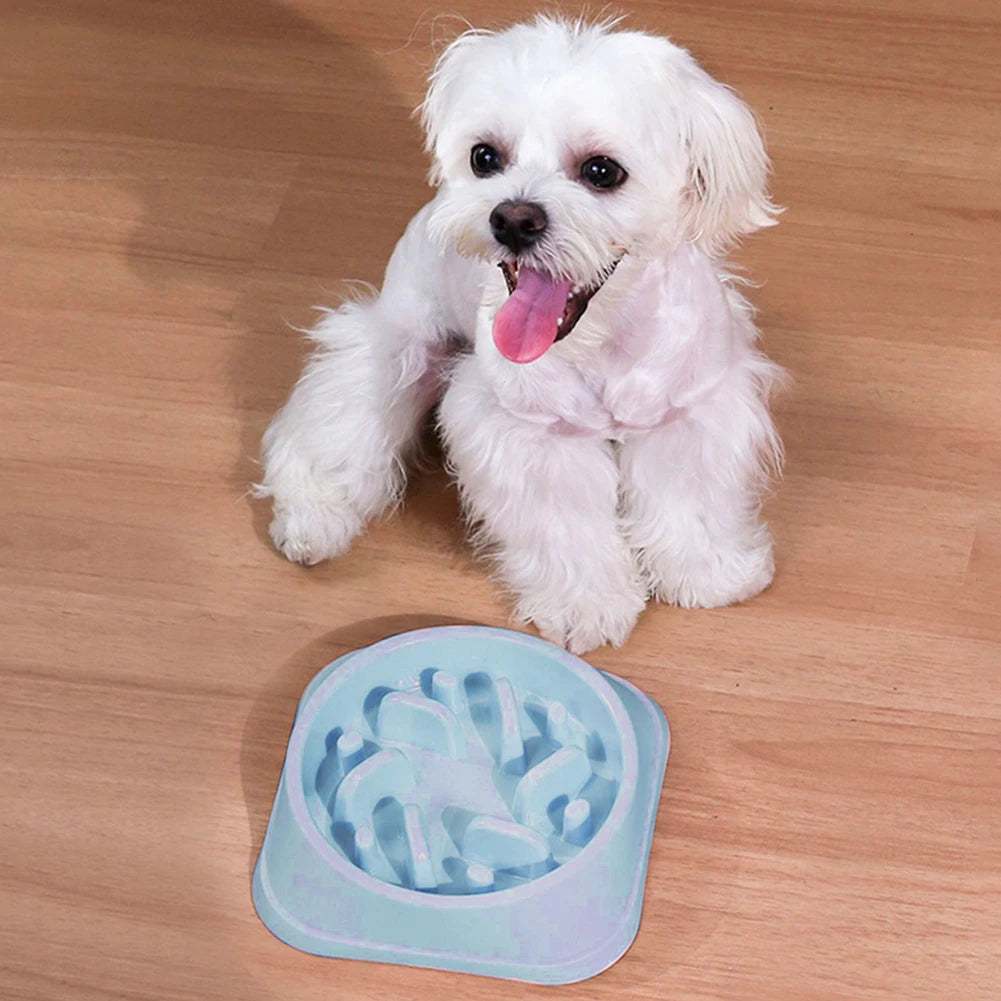 Pet Slow Eating Dish Bowl Anti Choking Dog Slow Feeder Bowl Non-Slip Puzzle Dog Food Bowls for Small Dogs and Cats Fast Eaters