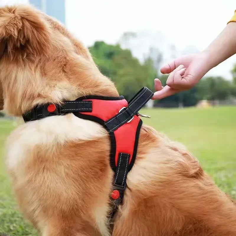 Adjustable Dog Cat Harness With leash Outdoor Small Medium Large Pet Chest Strap Dog Walking Training No Pull Saddle Vest Collar
