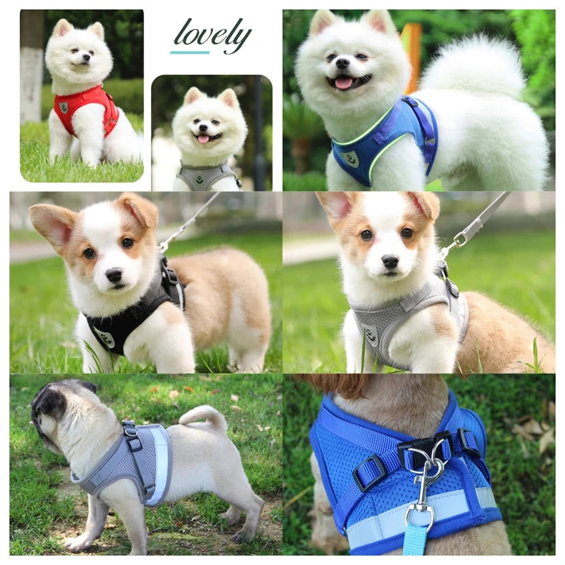 Adjustable Pet Dog Cat Harness and Leash Set Harness for Dogs Cats Vest Harness Puppy Dog Kitten Lead Cat Collar Pet Accessories