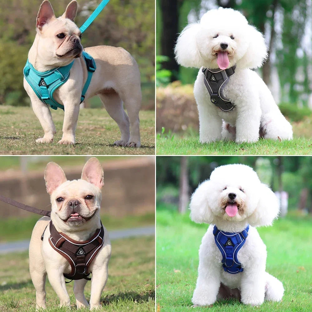 Dog Harness Cat Leashes Collar Bulldog Straps Small Medium Dog Puppy Harnesses Bichon Frise Vest Garlden Reflective Pet Supplies